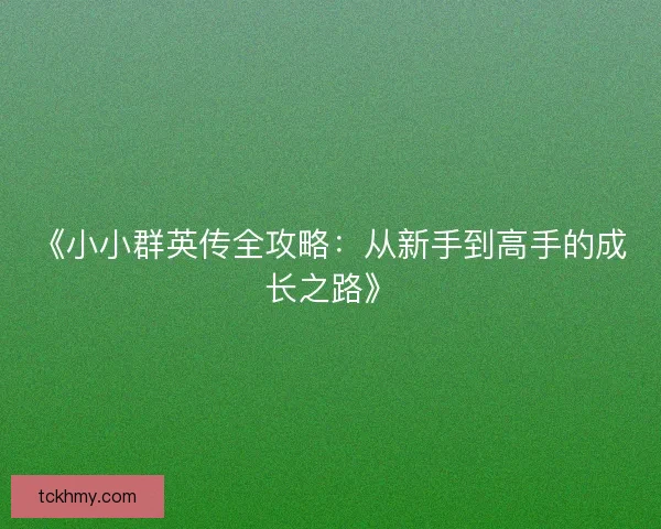 《小小群英传全攻略：从新手到高手的成长之路》